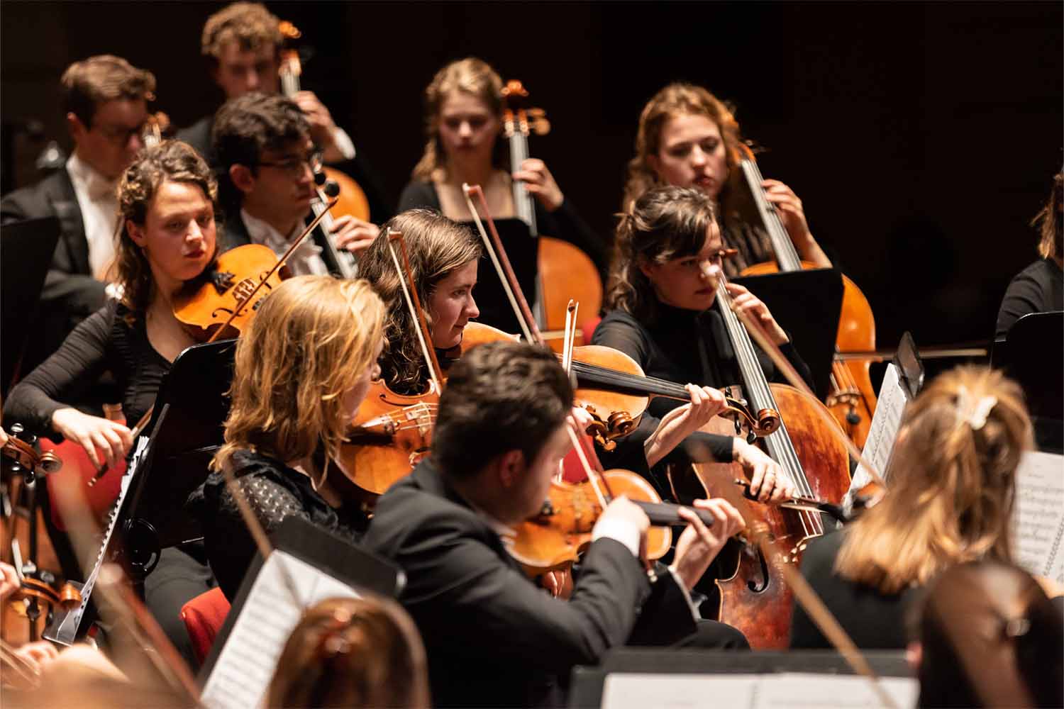 Werkwijzer steunt het Nederlands Studenten Orkest 2025!